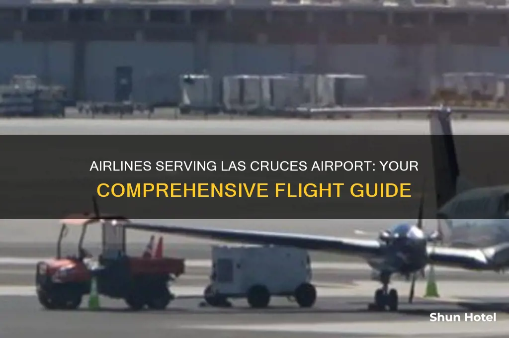 what airlines fly into las cruces airport