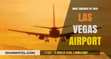 Airlines Serving Las Vegas: Your Complete McCarran Airport Guide