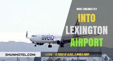 Airlines Serving Lexington Airport: Your Complete Guide to Flights