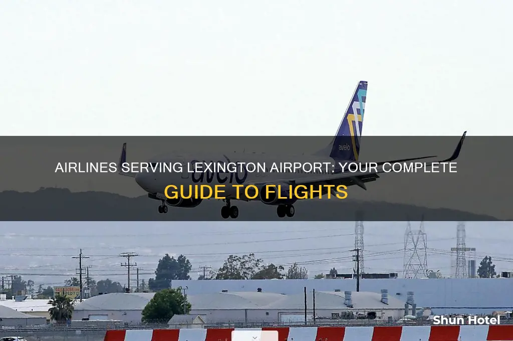 what airlines fly into lexington airport