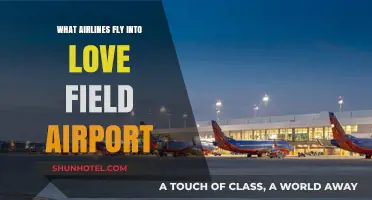 Airlines Serving Love Field: Your Complete Guide to Flights and Carriers