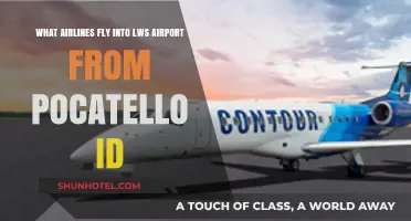 Airlines Serving LWS Airport: Pocatello ID Flight Options Explored