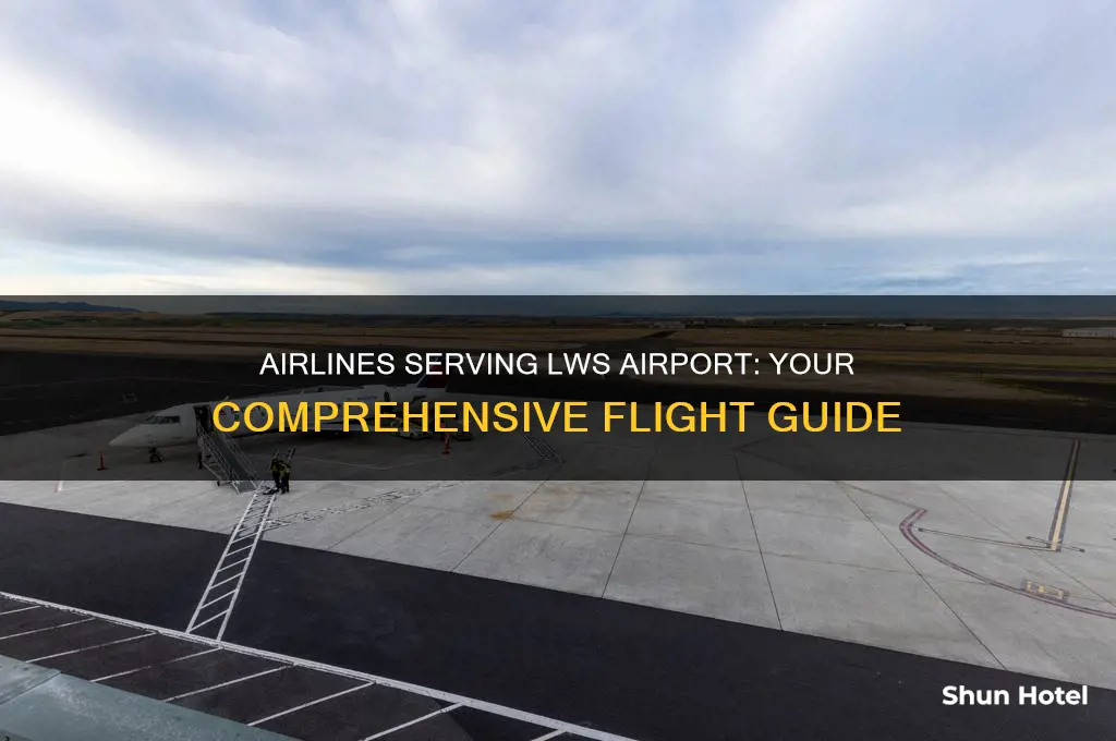 what airlines fly into lws airport