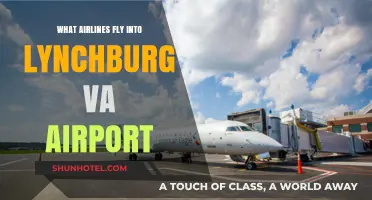 Airlines Serving Lynchburg VA Airport: Your Comprehensive Flight Guide