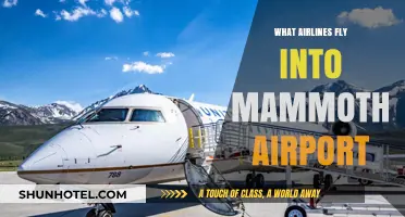 Airlines Serving Mammoth Airport: Your Ultimate Travel Guide
