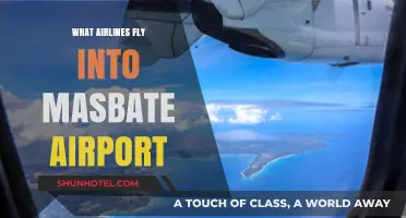 Airlines Serving Masbate Airport: Your Comprehensive Flight Guide