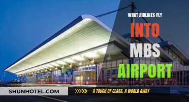 Airlines Serving MBS Airport: Your Complete Guide to Flights