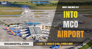 Airlines Serving MCO: Your Complete Guide to Orlando Flights