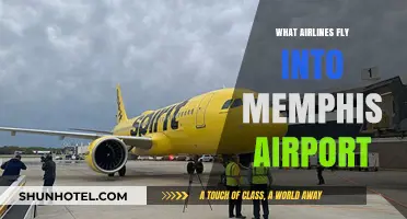 Airlines Serving Memphis Airport: Your Comprehensive Flight Guide