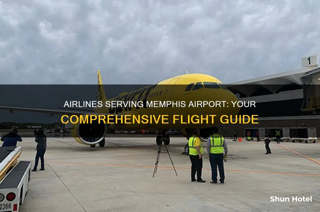what airlines fly into memphis airport