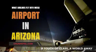 Discover Airlines Serving Mesa Airport in Arizona: Your Ultimate Guide