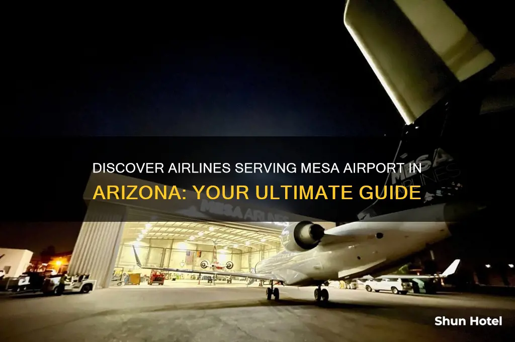 what airlines fly into mesa airport in arizona