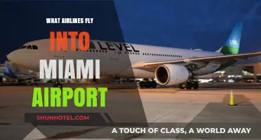 Airlines Serving Miami Airport: Your Comprehensive Guide to Carriers