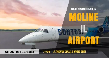 Airlines Serving Moline IL Airport: Your Complete Flight Guide