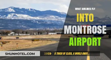Airlines Serving Montrose Airport: Your Ultimate Flight Guide