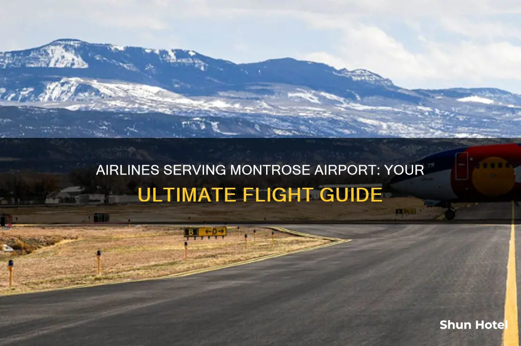what airlines fly into montrose airport