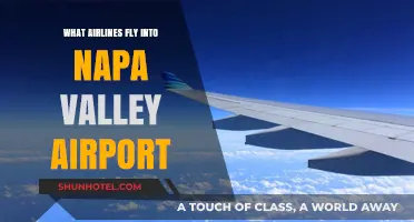 Discover Airlines Serving Napa Valley Airport for Wine Country Travel