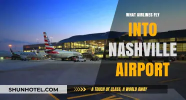 Airlines Serving Nashville: Your Guide to Flights into BNA Airport