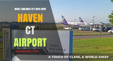 Airlines Serving New Haven CT Airport: Your Complete Guide