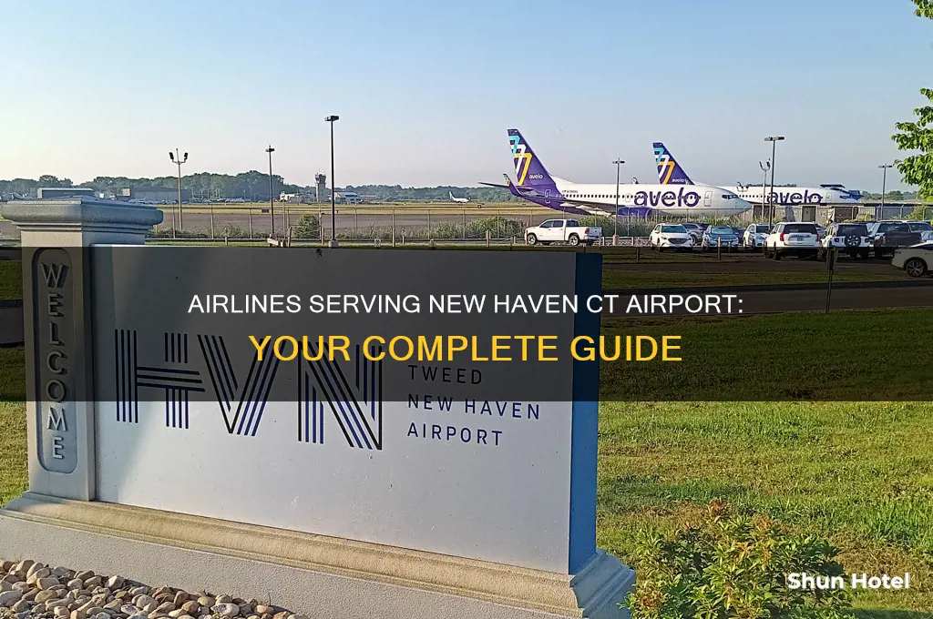 what airlines fly into new haven ct airport