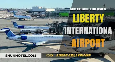 Airlines Serving Newark Liberty International Airport: Your Comprehensive Guide