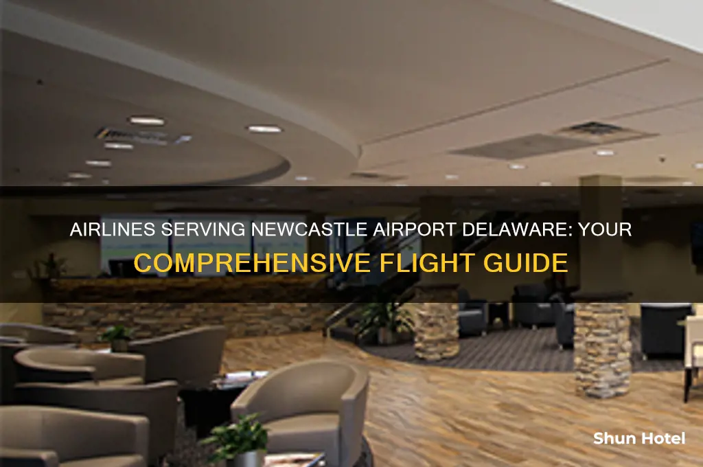 what airlines fly into newcastle airport delaware