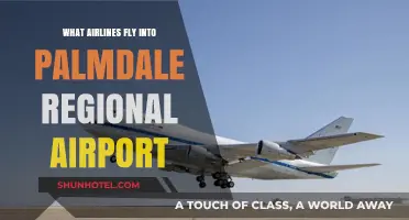 Airlines Serving Palmdale Regional Airport: Your Complete Flight Guide