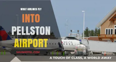 Airlines Serving Pellston Airport: Your Complete Guide to Flights