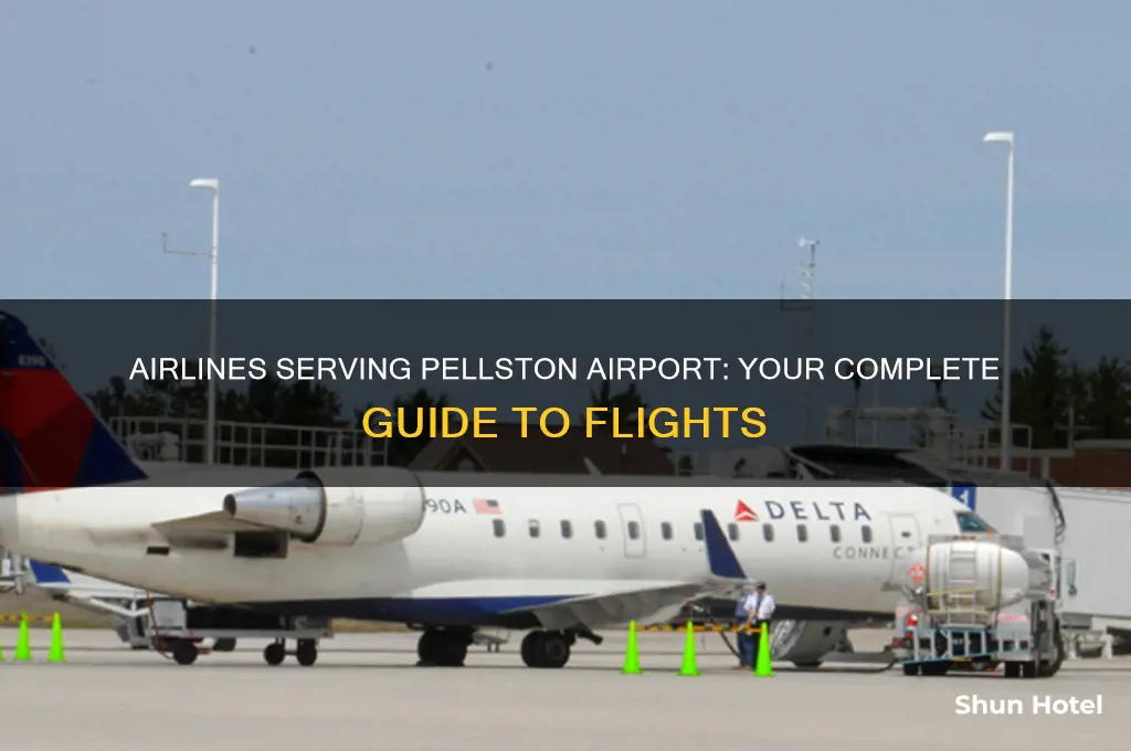 what airlines fly into pellston airport