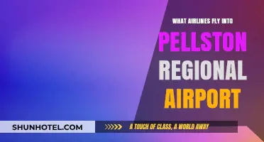 Airlines Serving Pellston Regional Airport: Your Complete Flight Guide