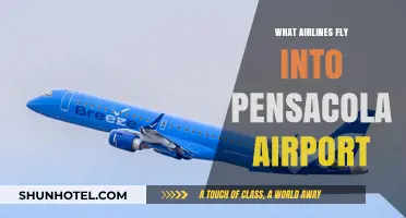 Airlines Serving Pensacola: Your Guide to Flights into PNS