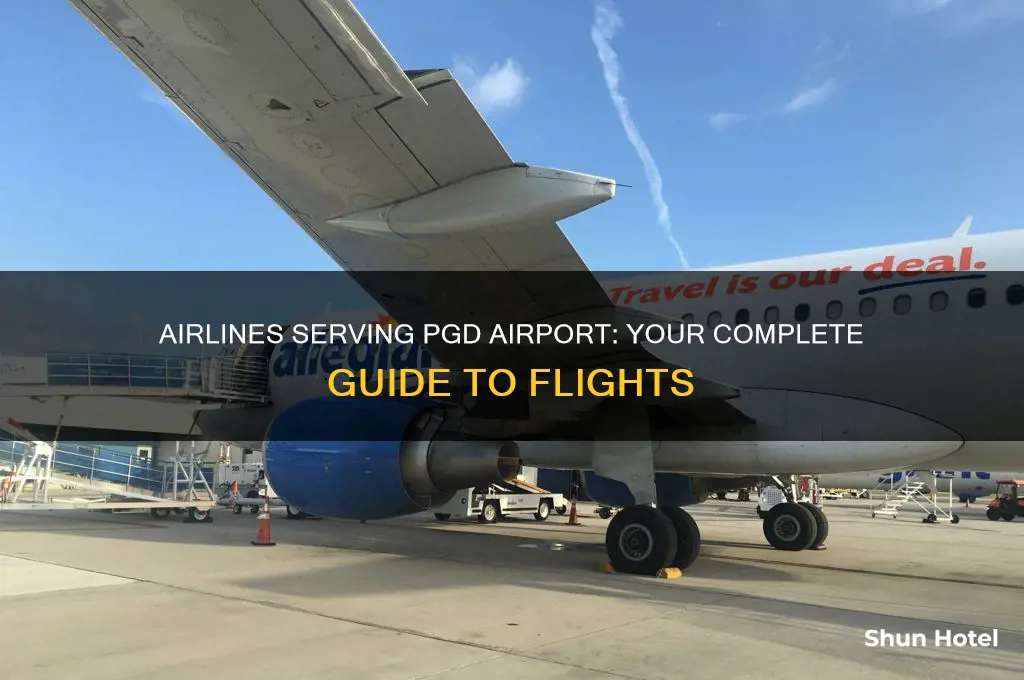 what airlines fly into pgd airport
