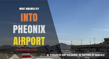 Discover Airlines Serving Phoenix Airport: Your Ultimate Travel Guide