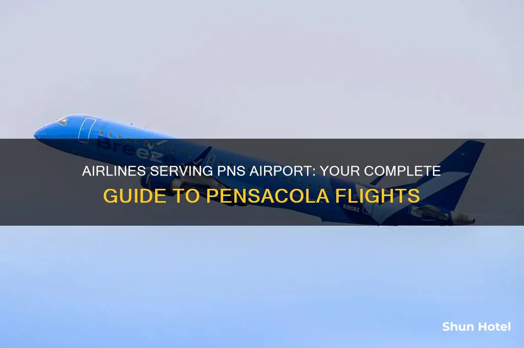 what airlines fly into pns airport
