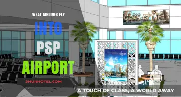 Airlines Serving PSP Airport: Your Complete Guide to Palm Springs Flights