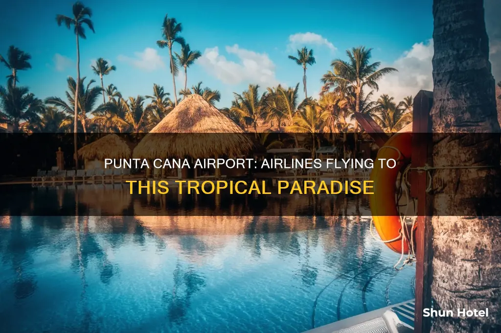 what airlines fly into punta cana airport