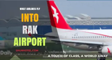 Airlines Serving RAK Airport: Your Comprehensive Flight Guide