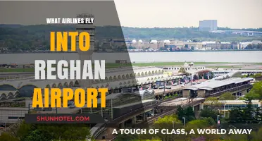 Airlines Serving Reagan Airport: Your Comprehensive Flight Options Guide
