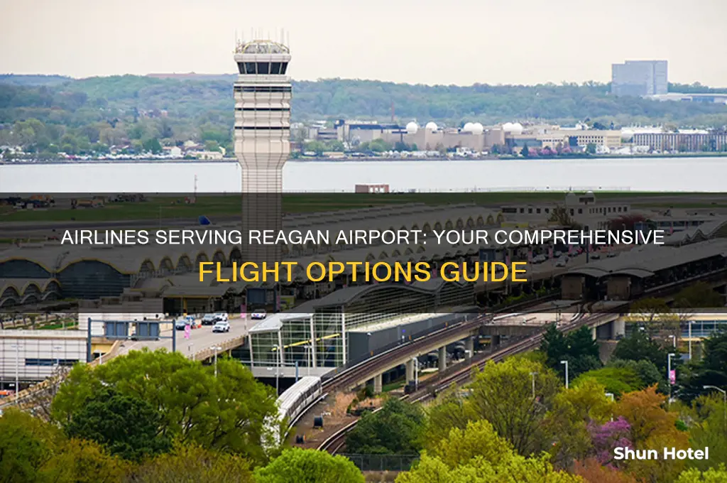 what airlines fly into reghan airport
