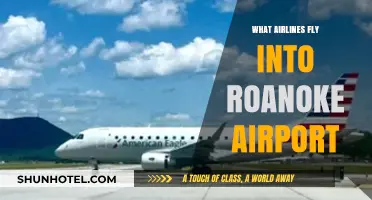 Airlines Serving Roanoke Airport: Your Comprehensive Flight Guide