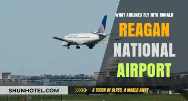 Airlines Serving Ronald Reagan National Airport: Your Comprehensive Guide