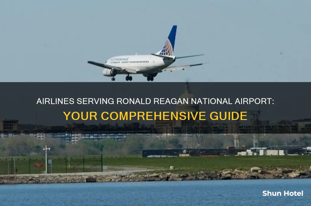 what airlines fly into ronald reagan national airport