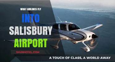 Airlines Serving Salisbury Airport: Your Comprehensive Flight Guide