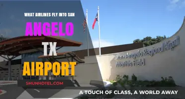Airlines Serving San Angelo, TX: Your Complete Flight Guide