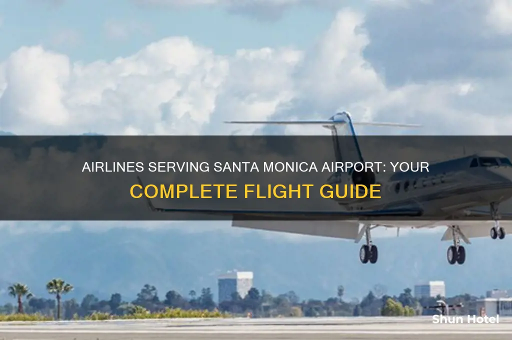 what airlines fly into santa monica airport