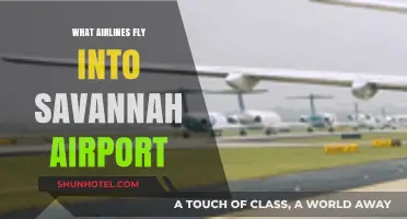 Airlines Serving Savannah Airport: Your Comprehensive Flight Guide