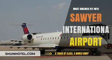 Airlines Serving Sawyer International Airport: Your Complete Flight Guide