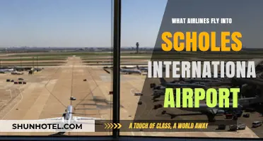 Airlines Serving Scholes International Airport: Your Complete Travel Guide