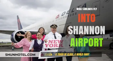 Airlines Serving Shannon Airport: Your Comprehensive Guide to Flights