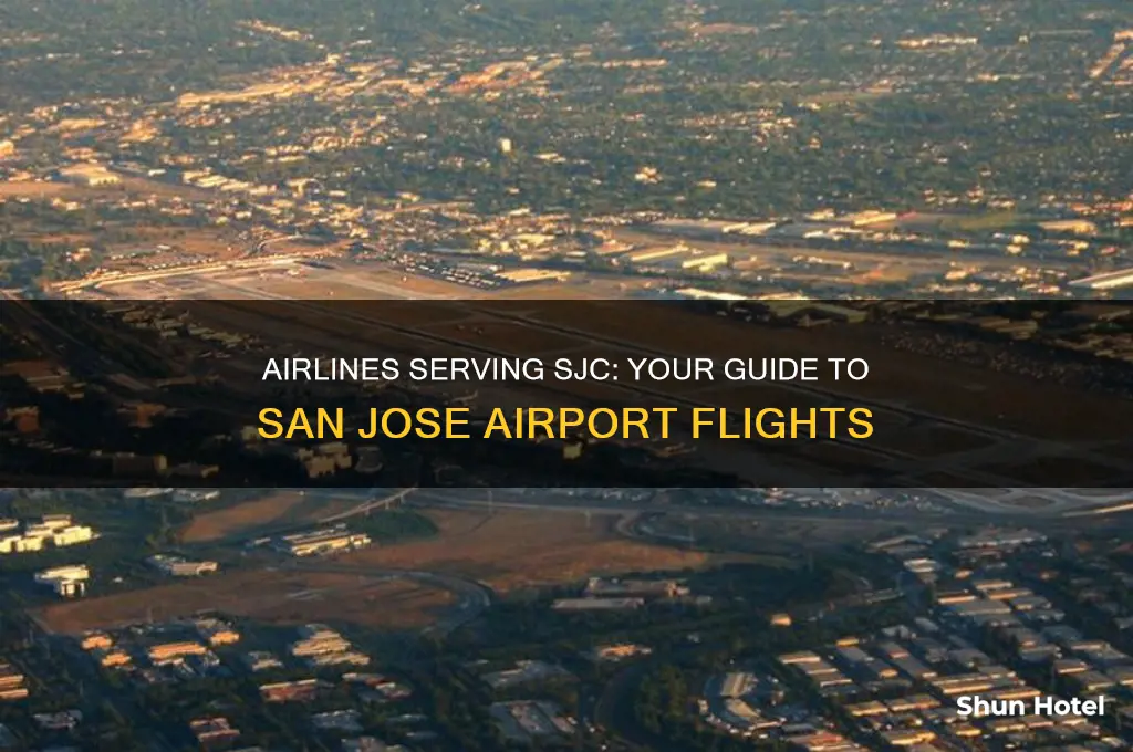 what airlines fly into sjc airport